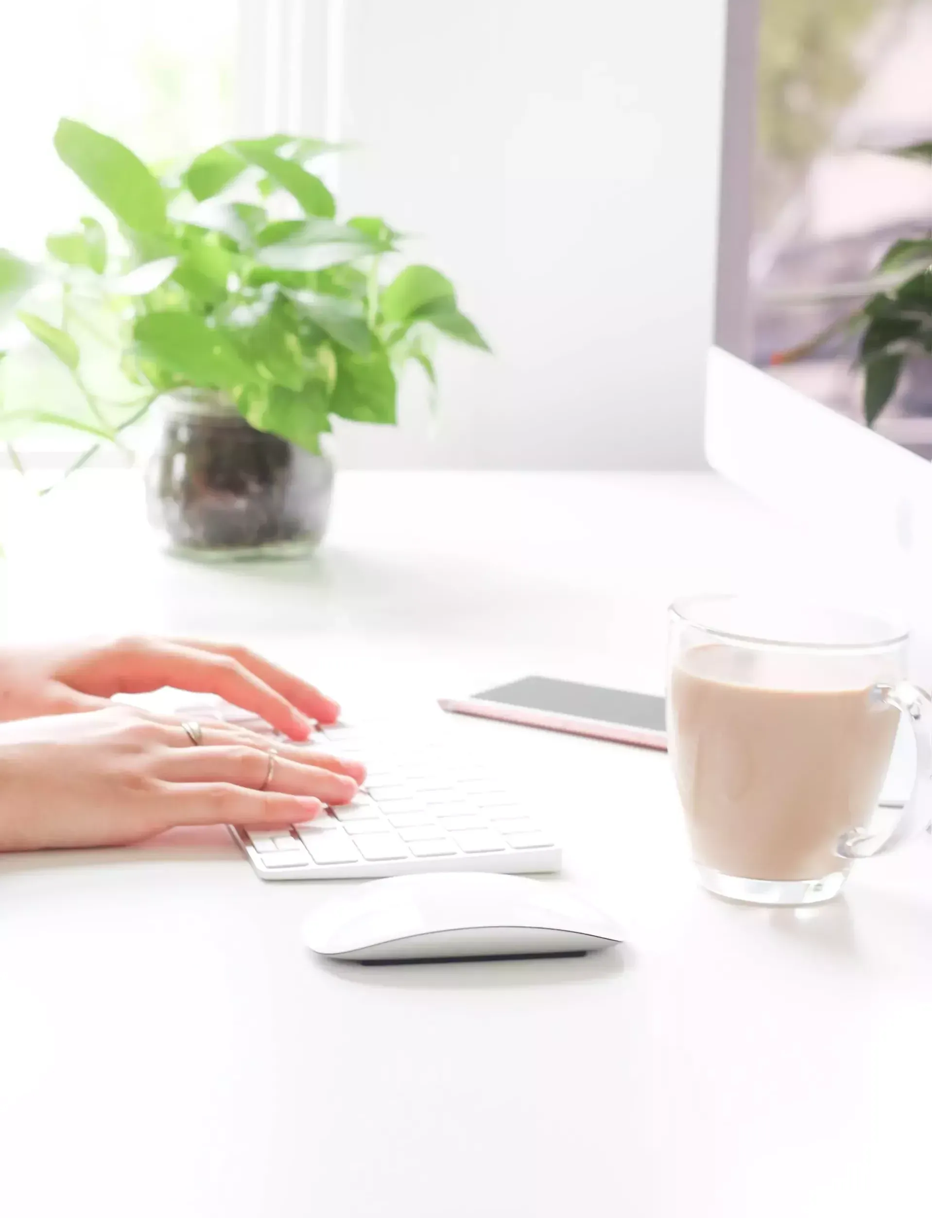 general.illustrationImage